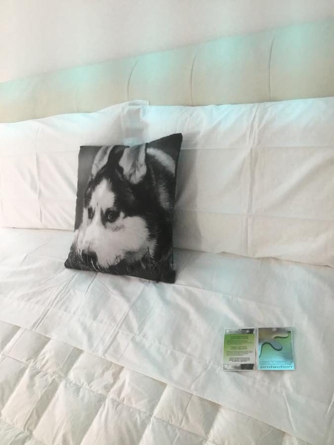 White Dream Suites ยาช ภายนอก รูปภาพ